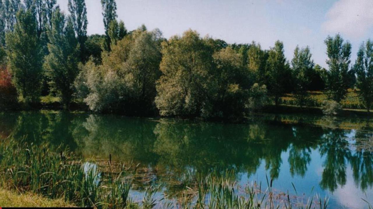 La Decouverte, Jacuzzi, Sauna, Et Terrasse Avec Vue Sur Lac A La Campagne Entre Toulouse Et Auch Villa Catonvielle Ngoại thất bức ảnh