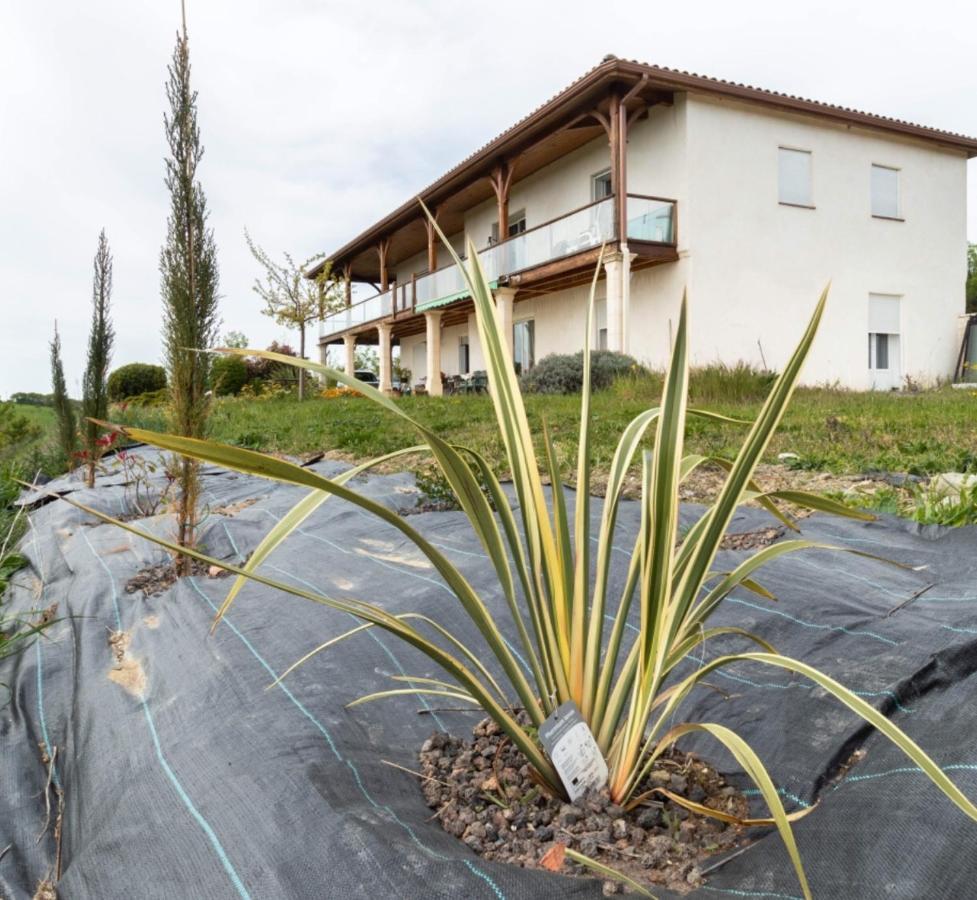 La Decouverte, Jacuzzi, Sauna, Et Terrasse Avec Vue Sur Lac A La Campagne Entre Toulouse Et Auch Catonvielle Ngoại thất bức ảnh